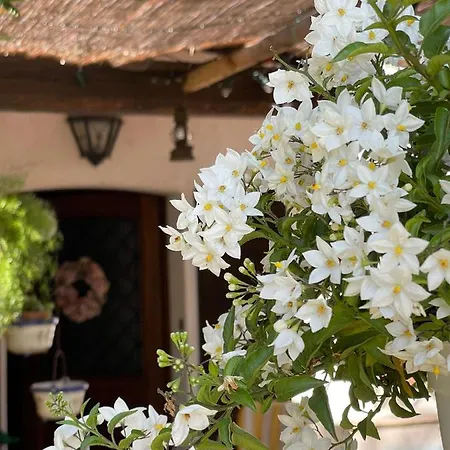 La Bricola بيت ضيافة 4*