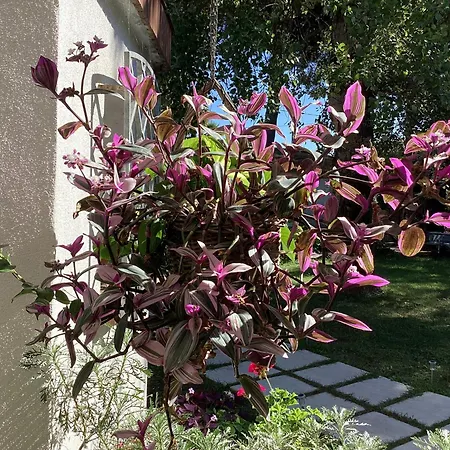La Bricola بيت ضيافة