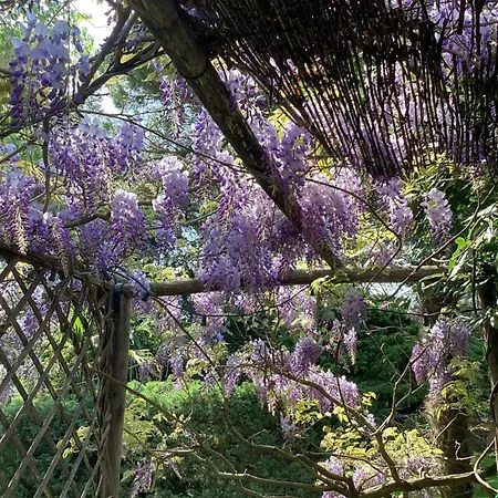 La Bricola Cavallino-Treporti