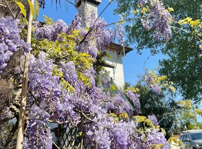 Affittacamere La Bricola