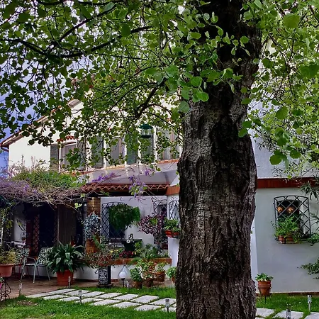 La Bricola 4*